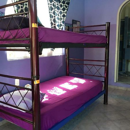 Hostel Quetzal 칸쿤 외부 사진
