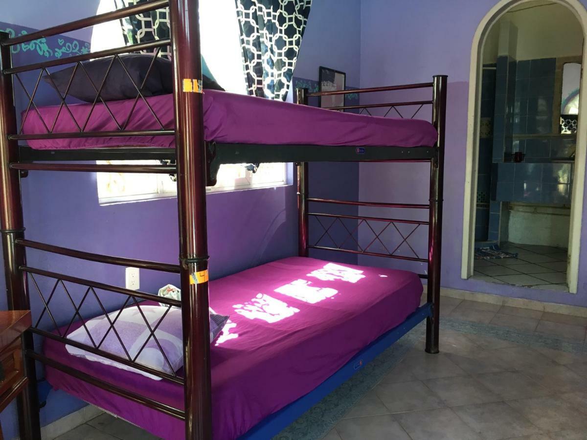 Hostel Quetzal 칸쿤 외부 사진