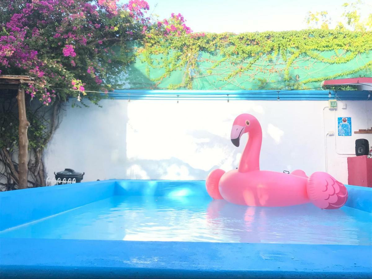 Hostel Quetzal 칸쿤 외부 사진