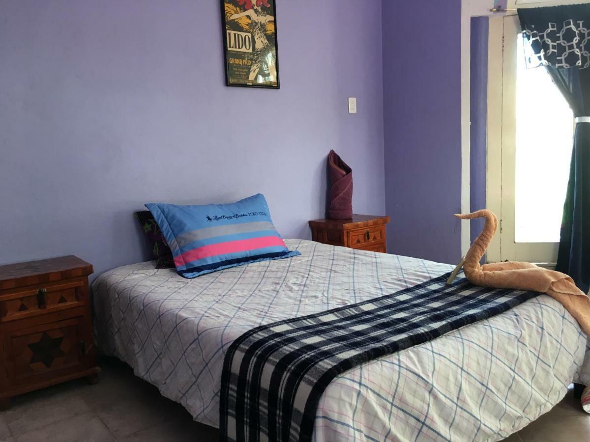 Hostel Quetzal 칸쿤 외부 사진